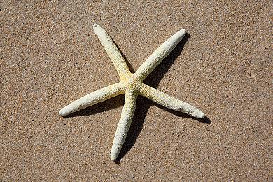 steam全新吸血鬼多人RPG游戏V Rising上线附赠免费加速时长